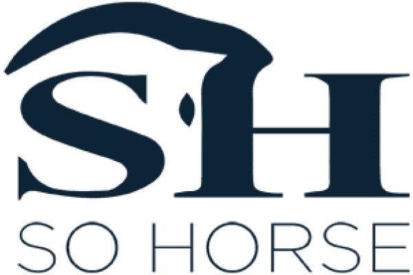 So Horse — Site de référence pour l'équitation en Belgique