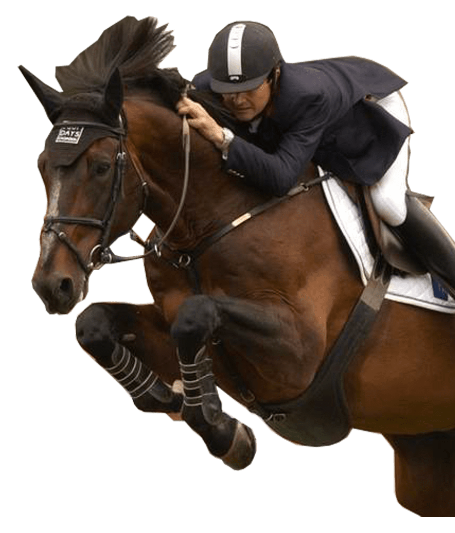 Diamant de Semilly — SoHorse