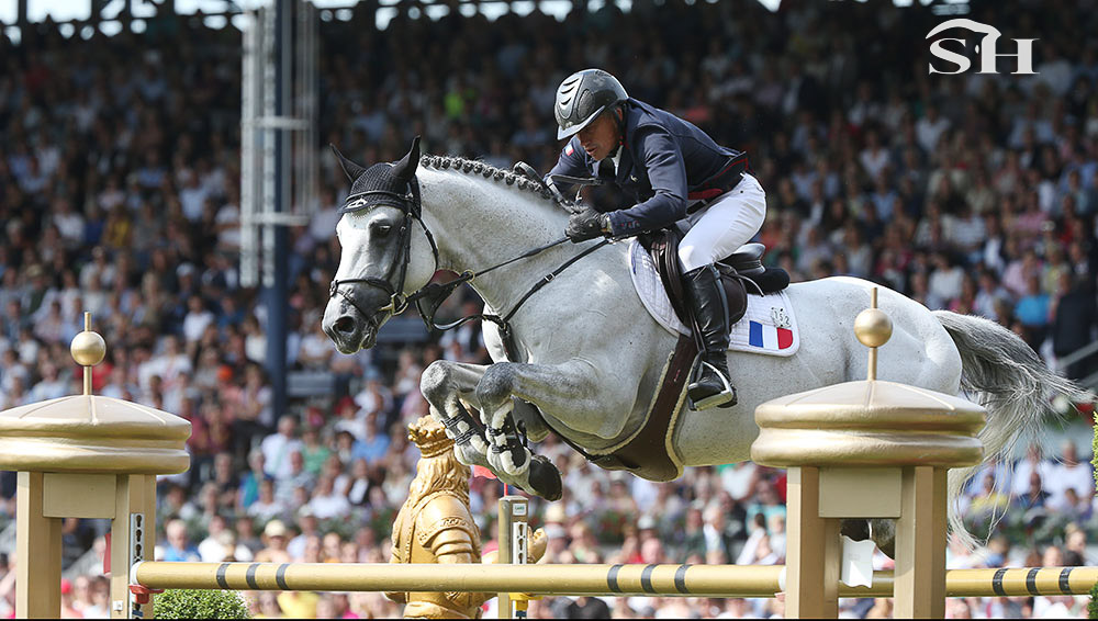 Vangog du Mas Garnier rejoint France Etalons