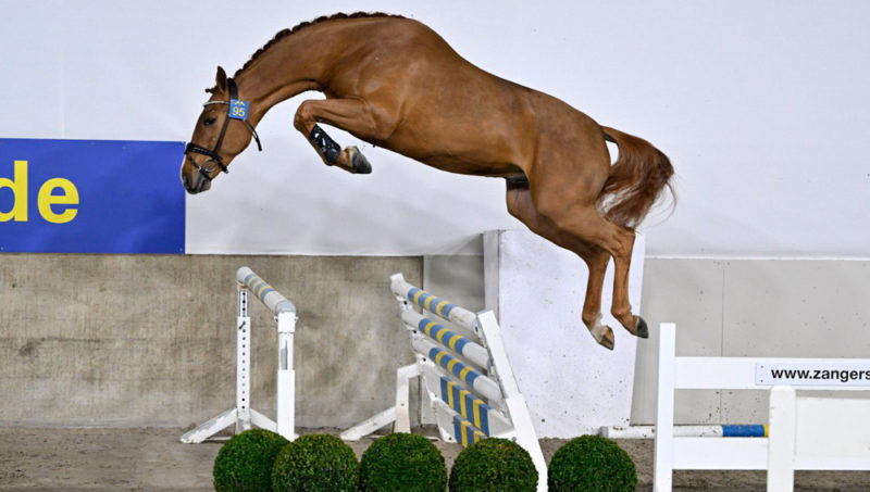 205.000 euros pour un petit-fils de Dollar Girl