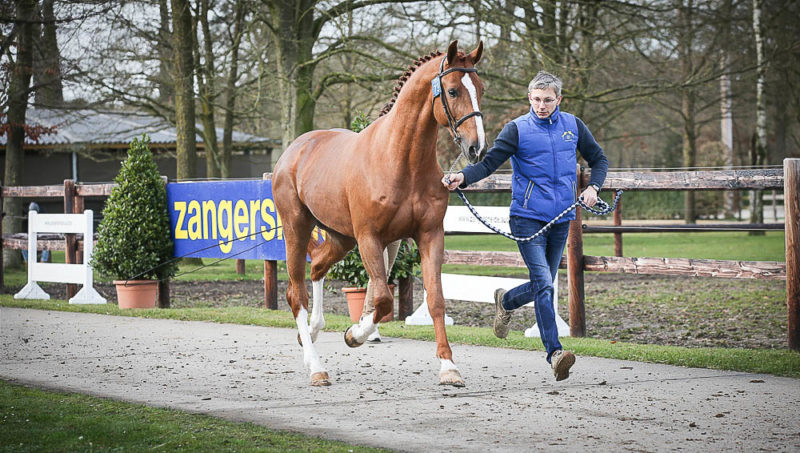Zéro déchet à Zangersheide