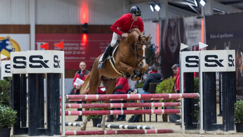 31 nouveaux étalons au BWP