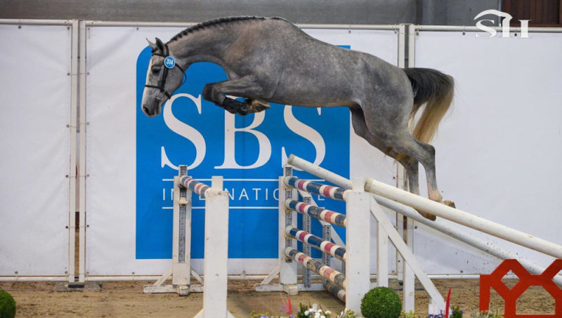 La famille Decroix investit dans Okavango Sitte