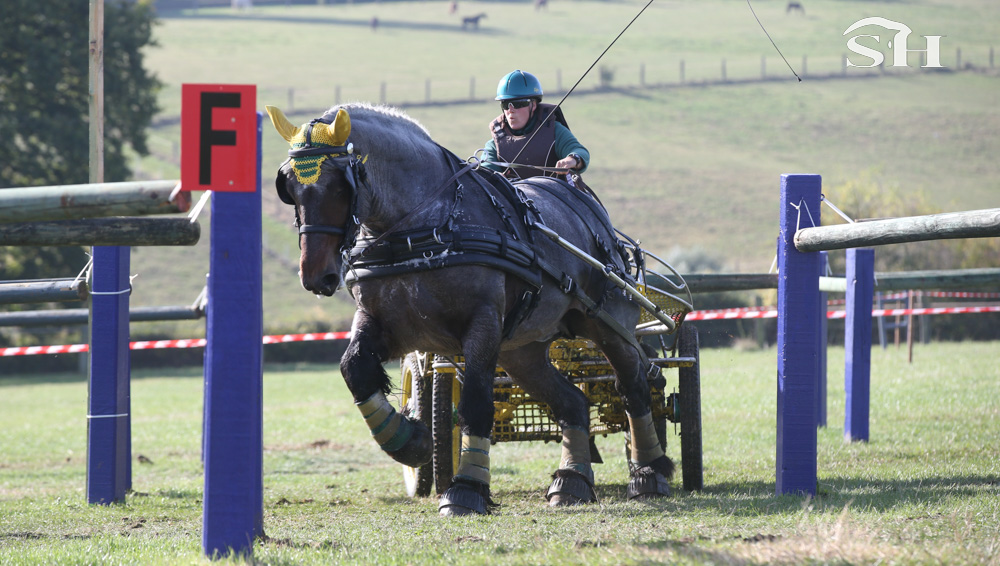 La Route du Luxembourg belge 2023 se prépare