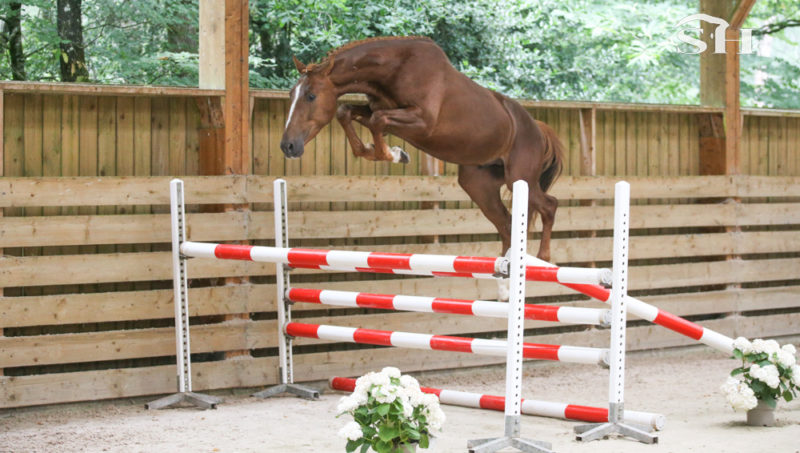 Retour du Loncin Open ce dimanche