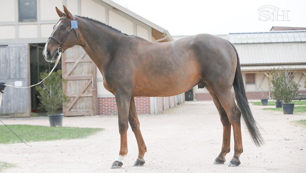 Disparition de Quartz Rouge