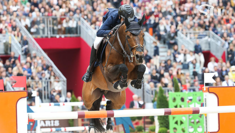 Sirius Black à la rescousse du Selle Français