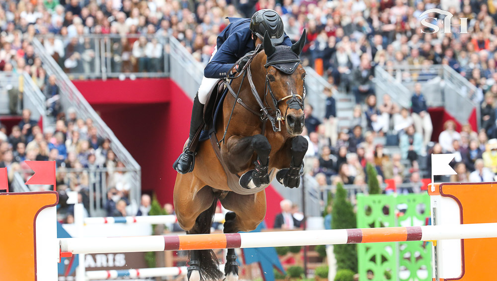 Sirius Black à la rescousse du Selle Français