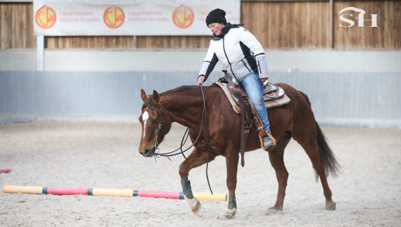 La ferme de la dîme participe aux Journées Fermes Ouvertes