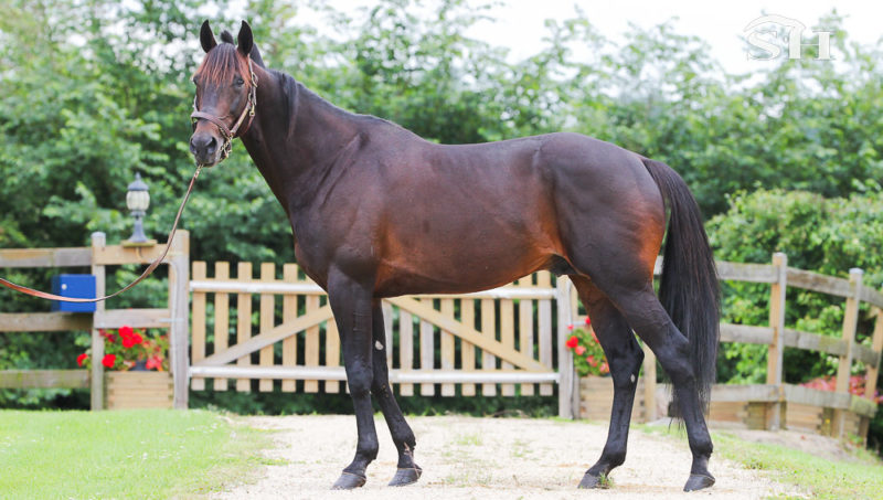 La légende Ready Cash s’en va