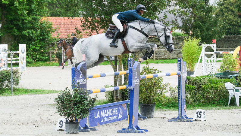 Ehning Flamingo avec de grandes ambitions chez Pénélope Leprévost