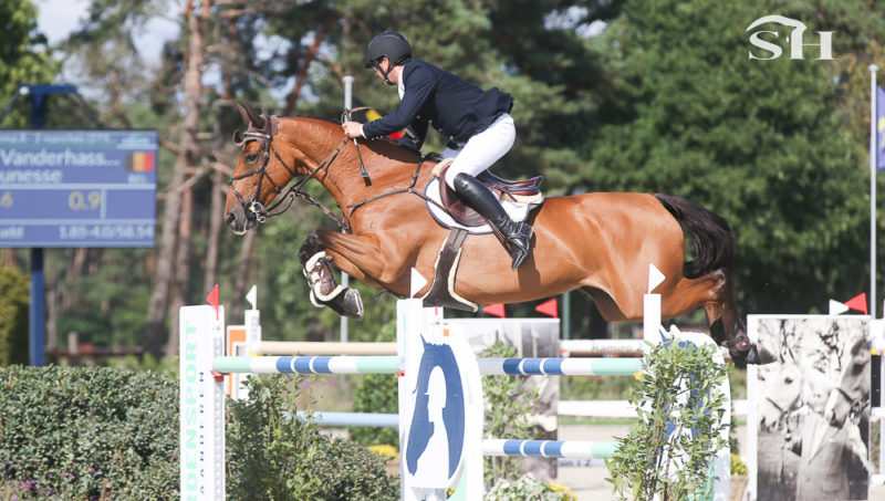 Jeunesse, une star aussi bien sur les terrains qu’à l’élevage!