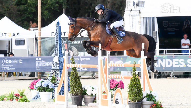 Hugo et Honolulu, les produits victorieux des Forêts