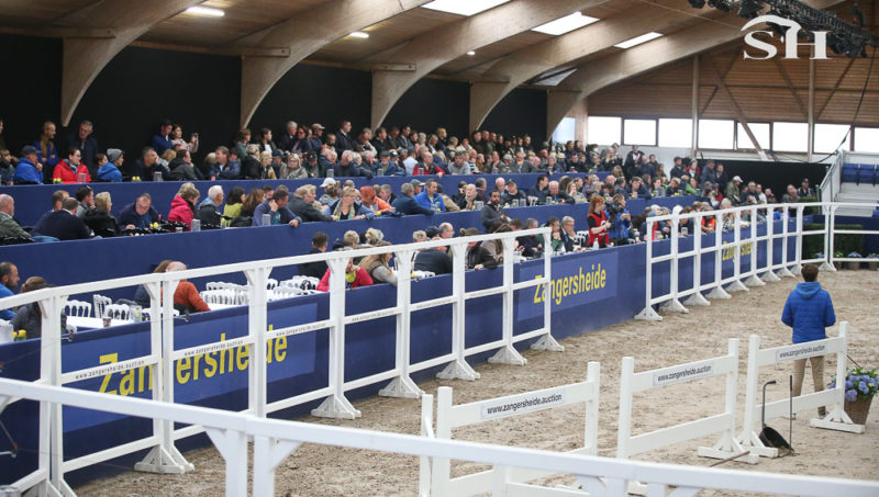 34 candidats à l’admission de Zangersheide