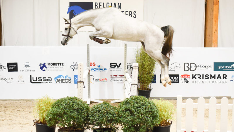 Value White et Ologie du Pont Rihen, champions de Wallonie à Ghlin