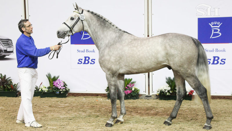 Disparition de Johan Bijloos