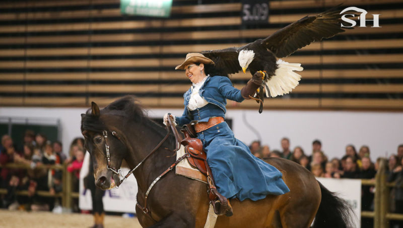 Hippogriffe, quand les passions se mélangent