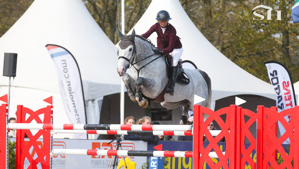 Excalibur de la Tour Vidal à l'élevage du Rouet en 2024
