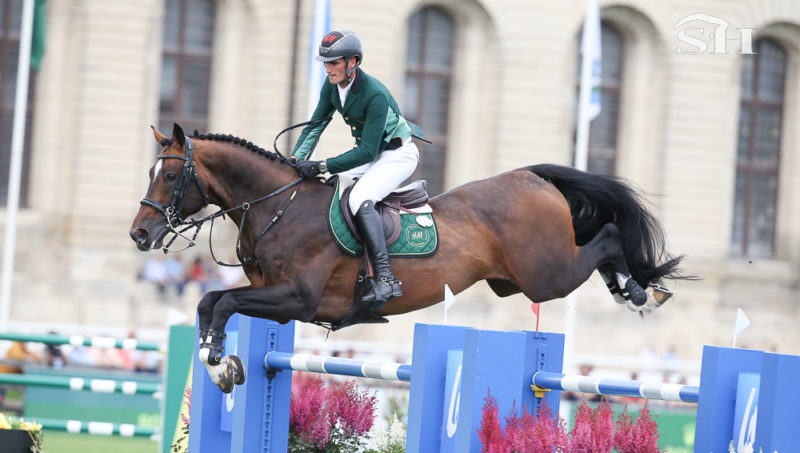 Extra et Dieu Merci rejoingnent Zangersheide pour 2024