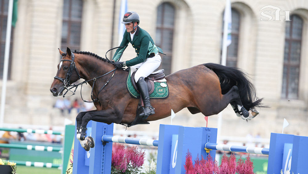 Extra et Dieu Merci rejoingnent Zangersheide pour 2024