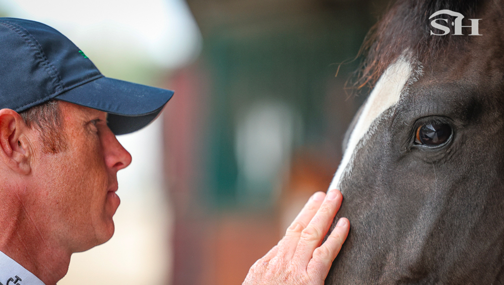 L'avenir de Scott Brash