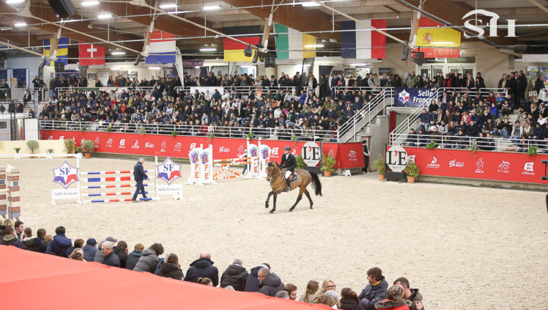 Carton plein pour le salon des étalons de Saint Lô