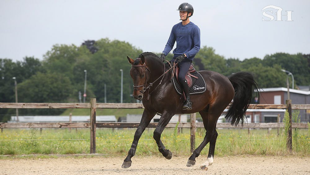 Pegase van't Ruytershof de retour à la compétition !