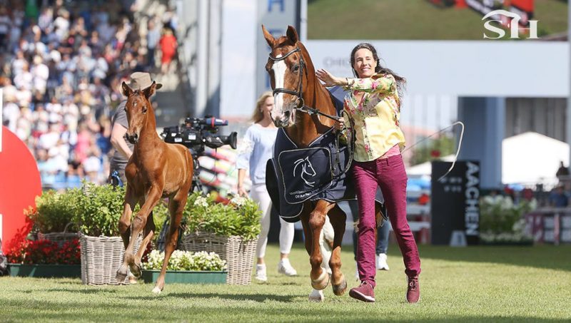 Fit For Fun a fait ses adieux.