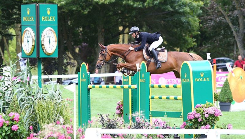 L’élevage Flamingo, bien plus qu’une histoire de coeur. (2/2)