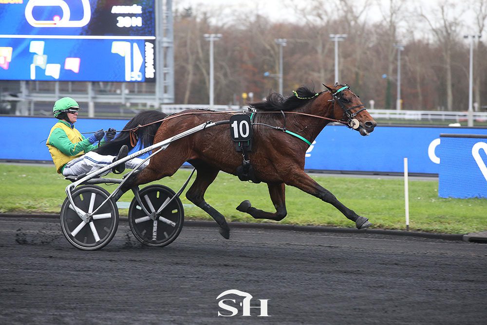 Face Time Bourbon forfait pour l'Amérique