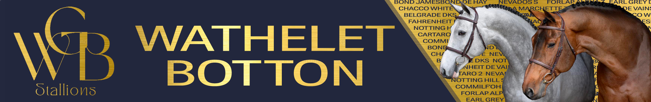 Wathelet Botton Stallions