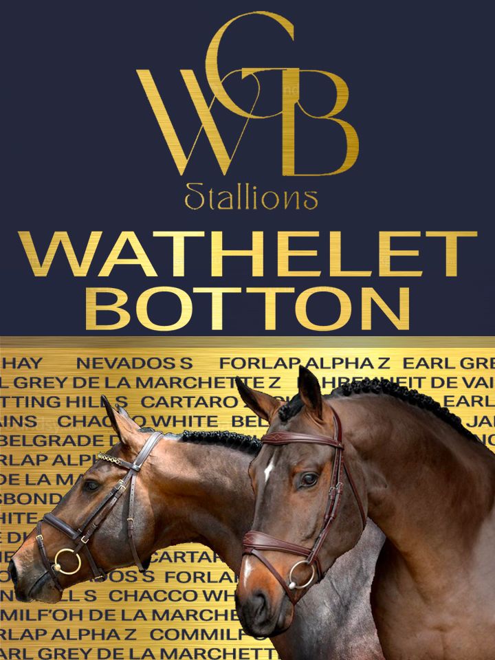 Wathelet Botton Stallions