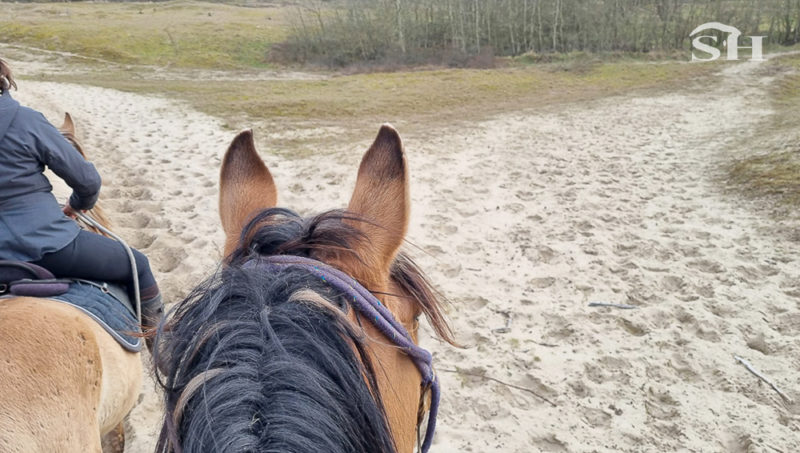 Espace Henson du Marquenterre, un espace de détente.