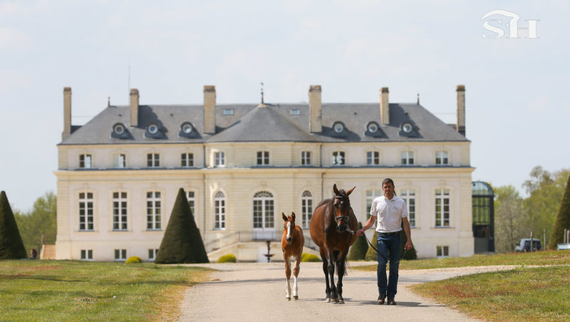 Cessation d’activité pour le haras de Hus.