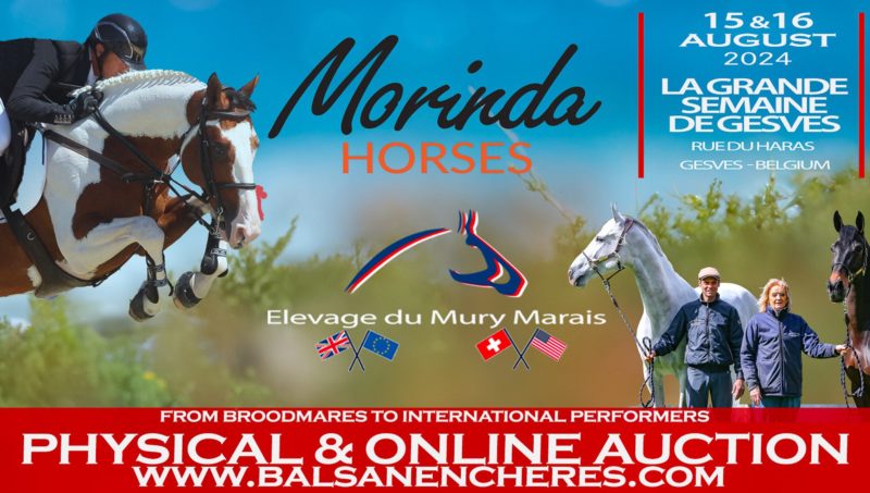 Morinda & Mury Marais Auction, les 15 et 16 août durant la grande semaine de Gesves.