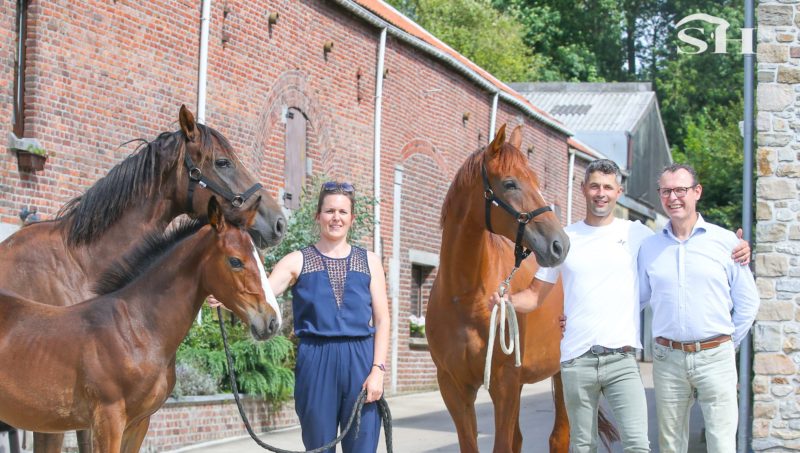 Luc Henry, un éleveur olympique de retour dans le circuit ?