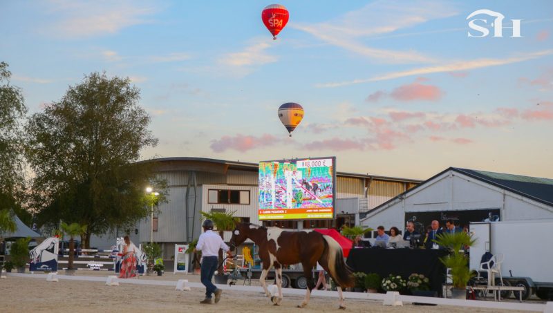 Beau succès pour la première vente de Gesves.