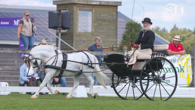 Doublé tchèque historique à l’attelage au 22ème international welsh.