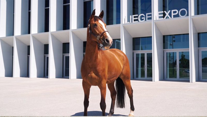 Pas d' »inter » mais du grand spectacle pour le retour du Jumping de Liège!