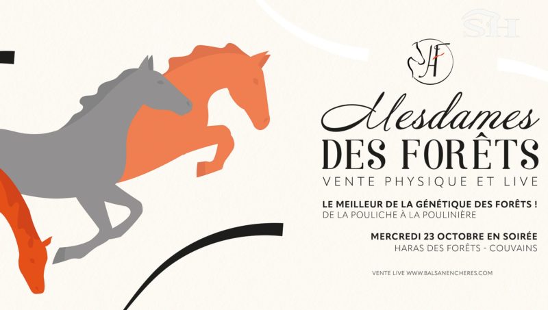 Mesdames des Forêts, une vente exclusivement féminine !