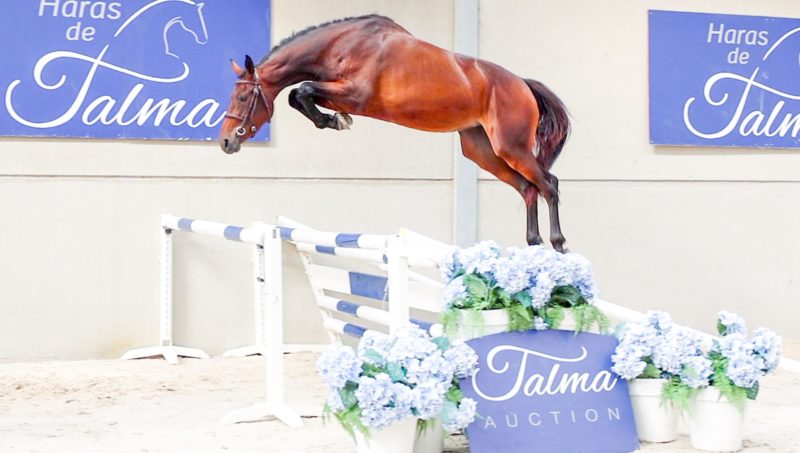 Quatrième édition de la Talma Auction le 8 octobre