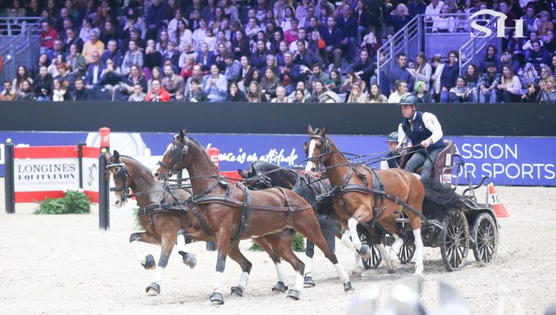 Dries Degrieck remporte la Coupe du monde d’attelage de Lyon.