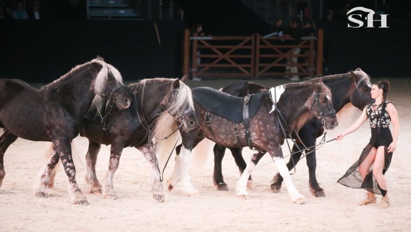 Marine Cannelle, l’une des étoiles du spectacle « Une nuit à Equita ».