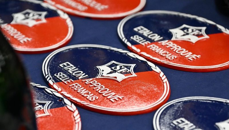 Selle Français: championnat et testage 2024