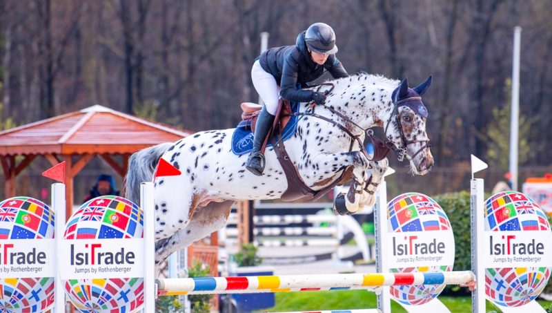 J-Nius V.V. Z fera la monte à Zangersheide.