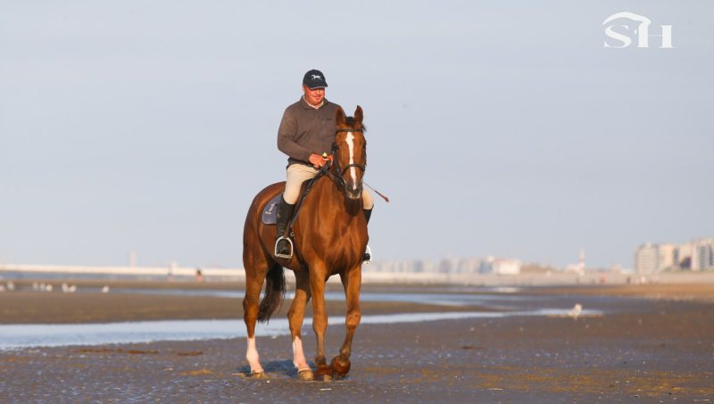 Philippe Le Jeune lance son académie.