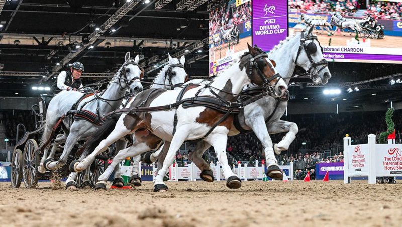 Ijsbrand Chardon de retour au sommet à Londres !
