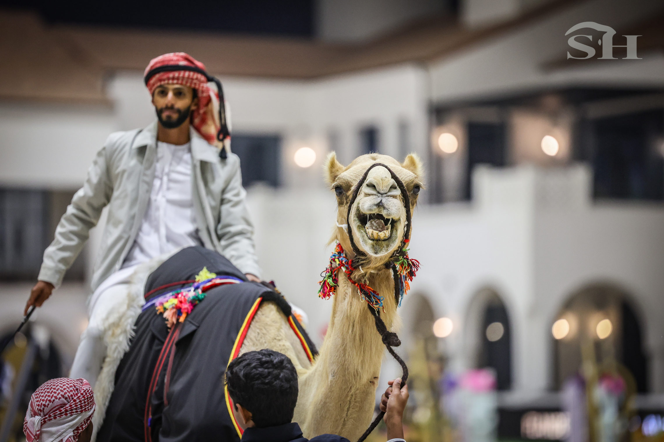 Abu Dhabi Equestrian Club