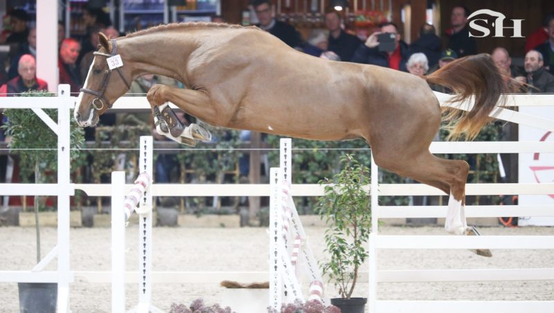 BWP, une 71ème édition plaisante mais sans sélection.