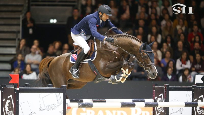 Casallo Z intègre le haras Numénor